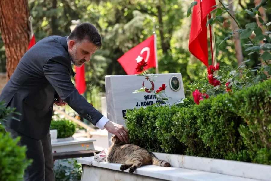 Biba'dan vefa örnekleri